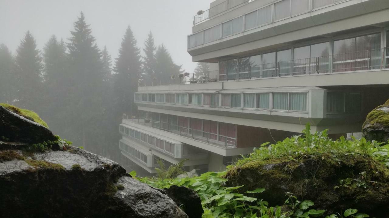 Appartamento Ventisei - Cipat 22114 Marilleva Eksteriør bilde
